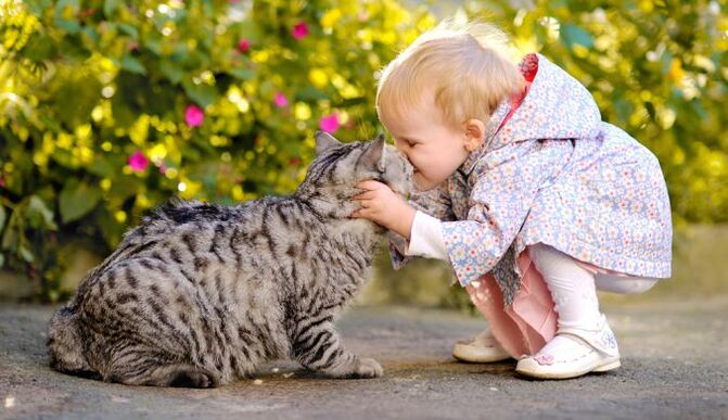 a child kisses a cat and is infected with worms